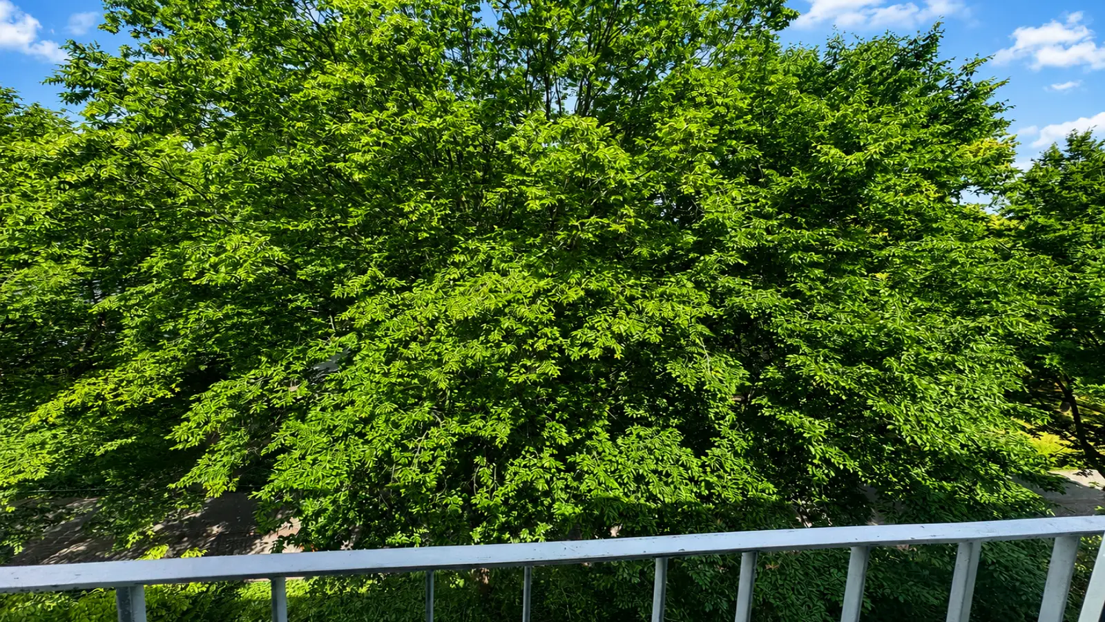 Wohnung Am Koeltzepark in Berlin