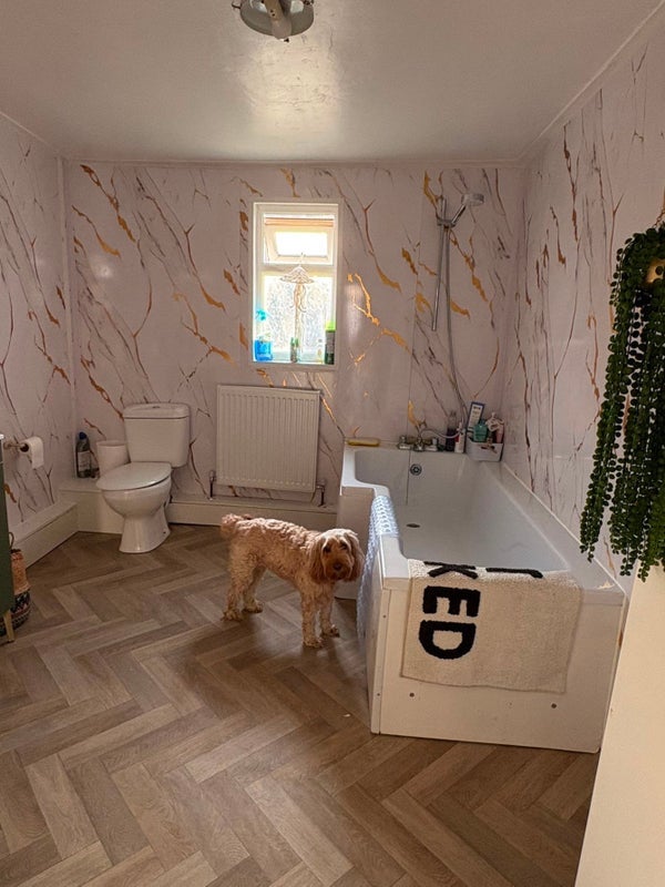 Room Haselbury Road in Greater London