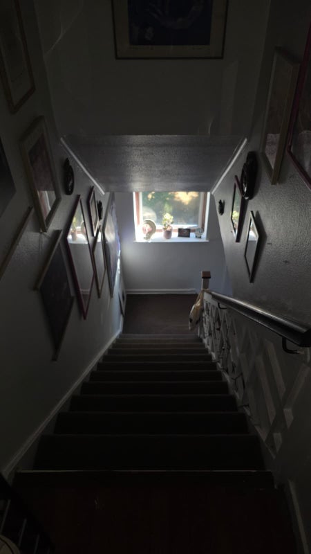 Room Courtlands Avenue in Greater London