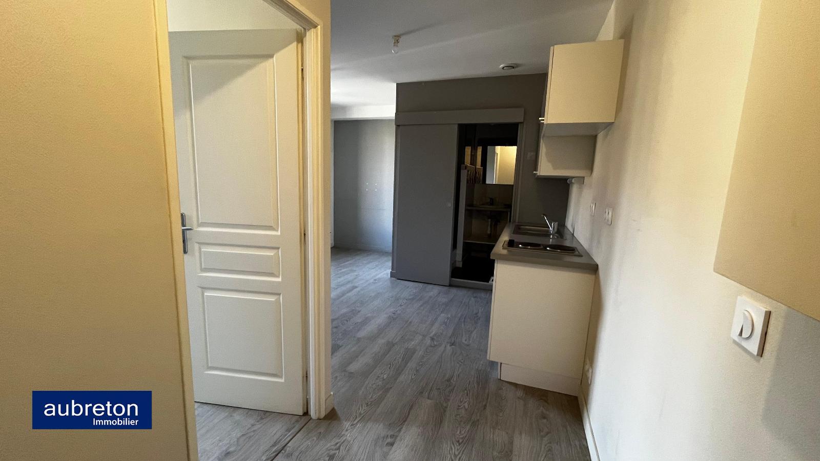 Flat Rue Alexandre Dumas in Grenoble