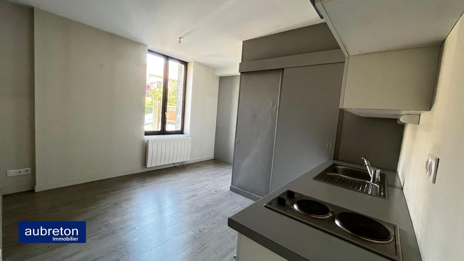 Flat Rue Alexandre Dumas in Grenoble