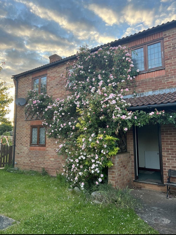 Room Atherston in Bristol