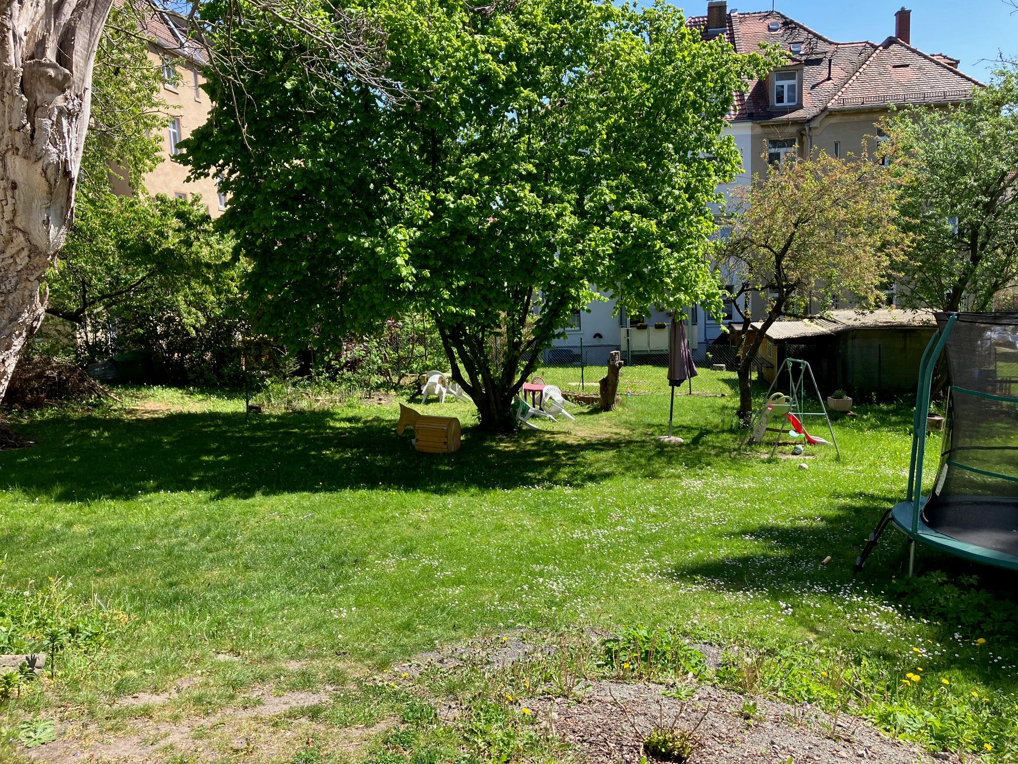 Wohnung Tongasse in Zittau