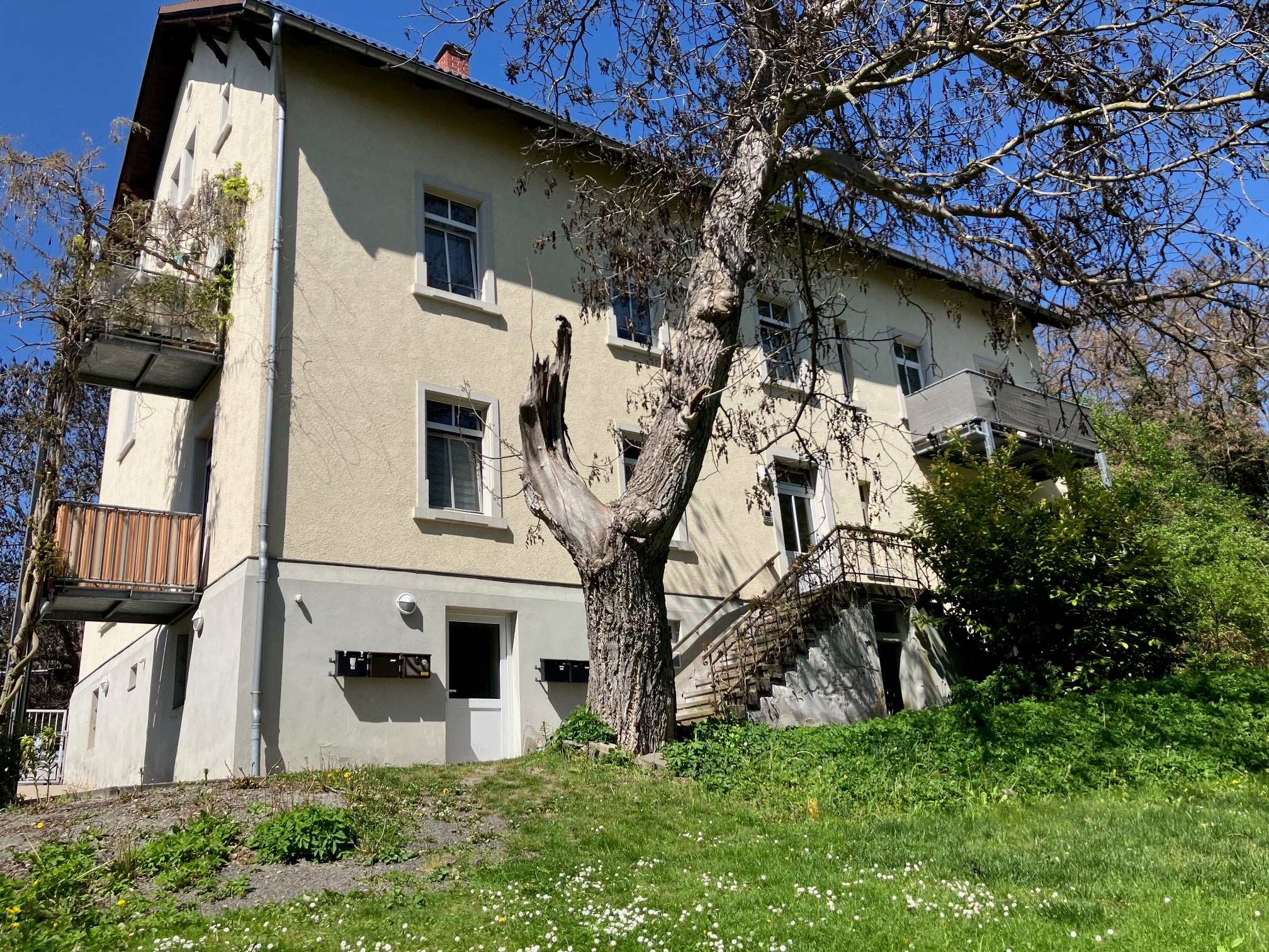Wohnung Tongasse in Zittau