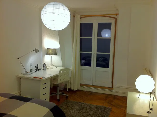 Chambre Rue des Marronniers à Lyon