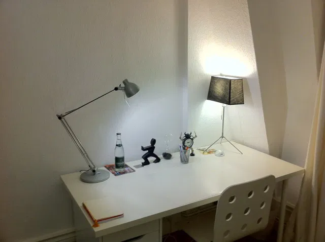 Chambre Rue des Marronniers à Lyon