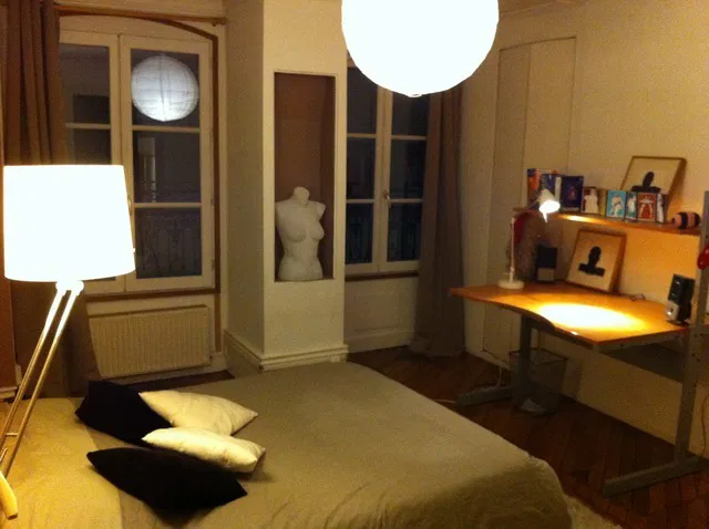 Chambre Rue des Marronniers à Lyon