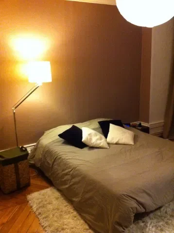 Chambre Rue des Marronniers à Lyon