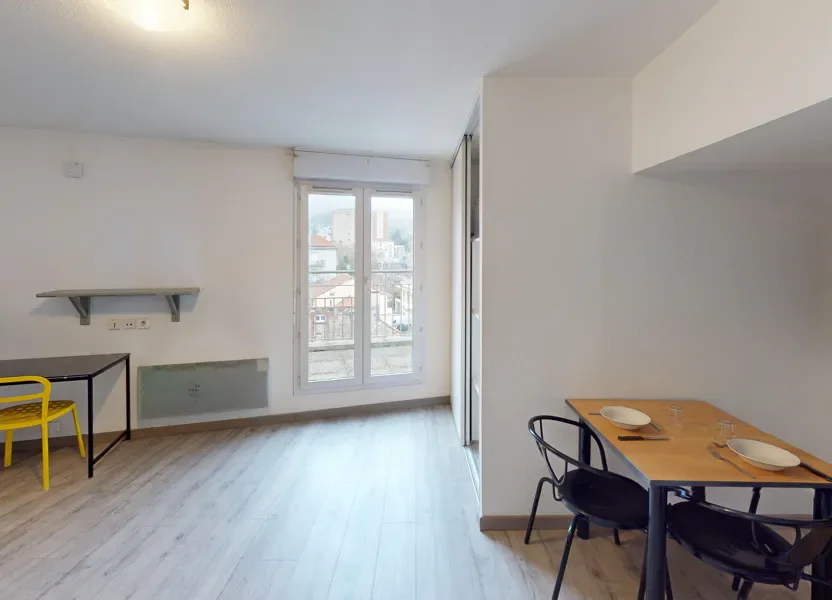 Flat Rue du Mont in Saint-Étienne