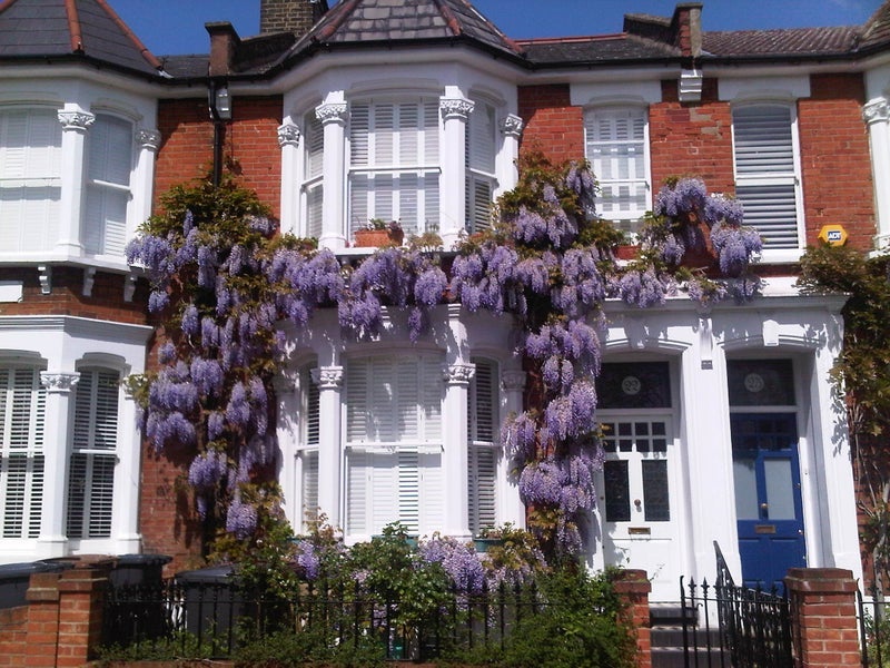 Room Meynell Crescent in Greater London