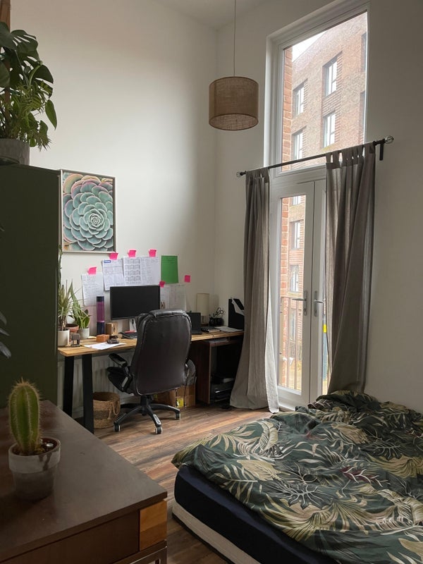 Room Frise Street in Bristol