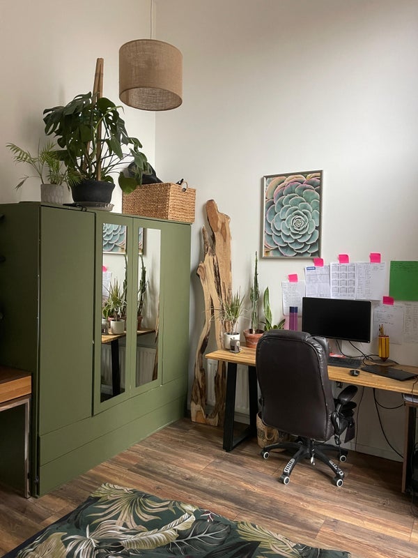 Room Frise Street in Bristol