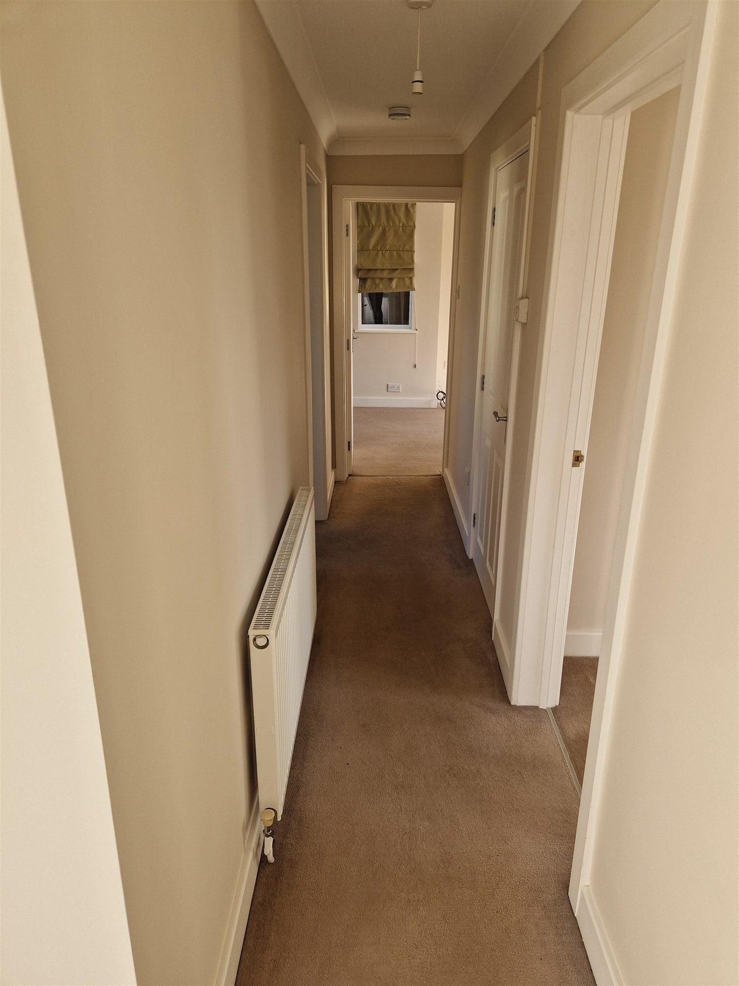 House Cook's Drove in Earith
