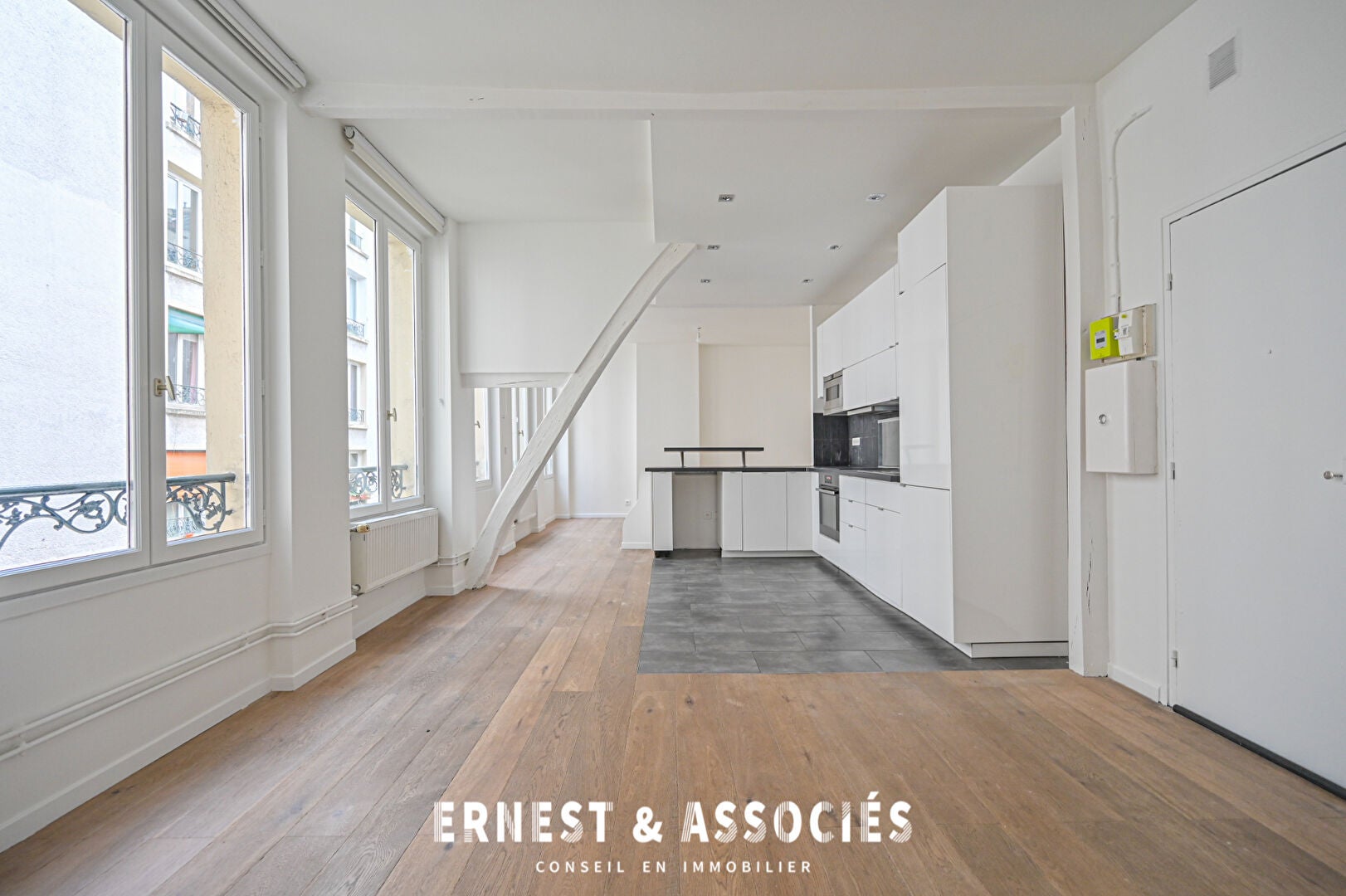 Flat Rue du Faubourg Saint-Martin in Paris