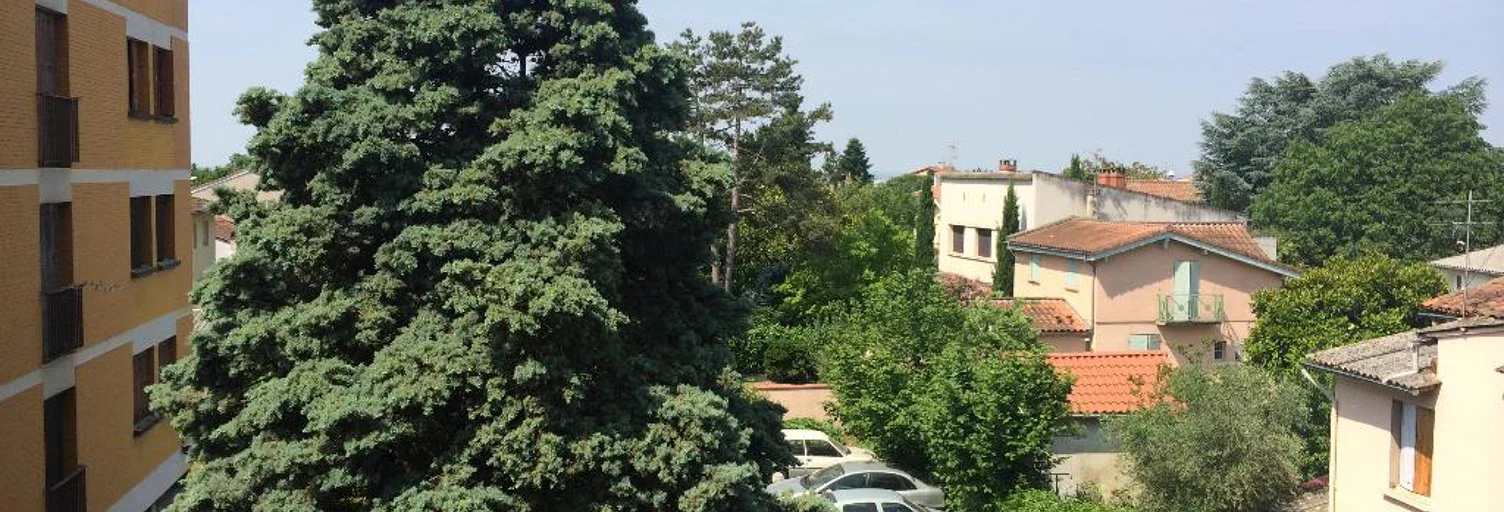 Flat Avenue Jacques Chirac in Toulouse