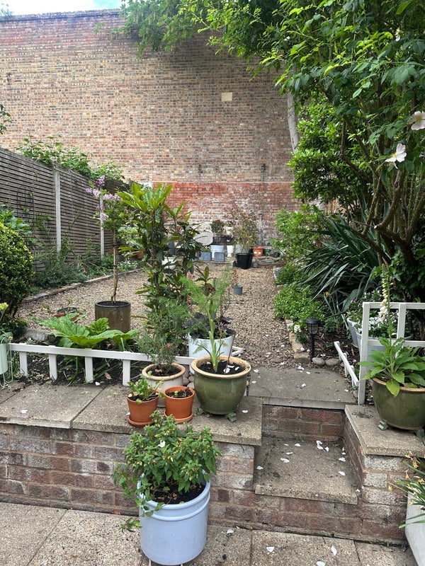Room Roding Road in Greater London