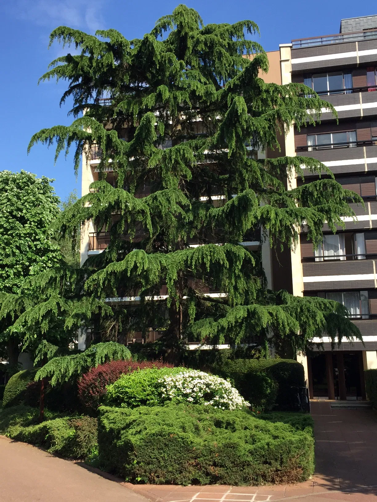 Chambre Rue Pasteur à Versailles