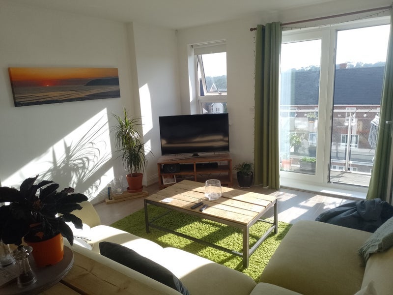 Room Grebe Way in Maidenhead
