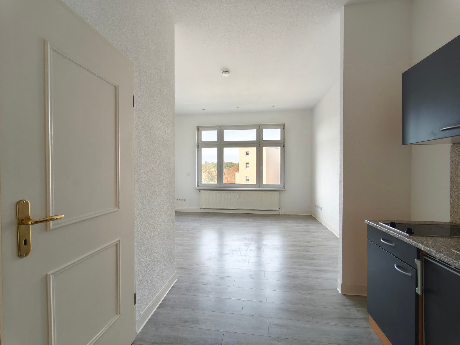 Wohnung Merseburger Straße in Halle (Saale)