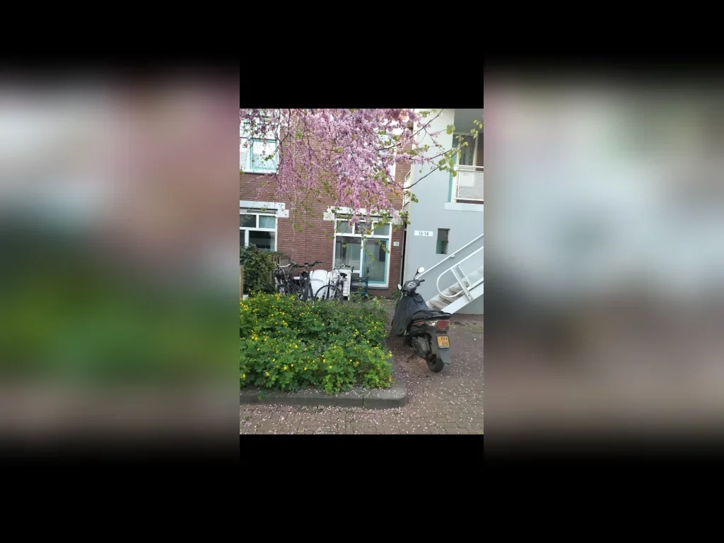 House Nieuwe Houttuinen in Amsterdam