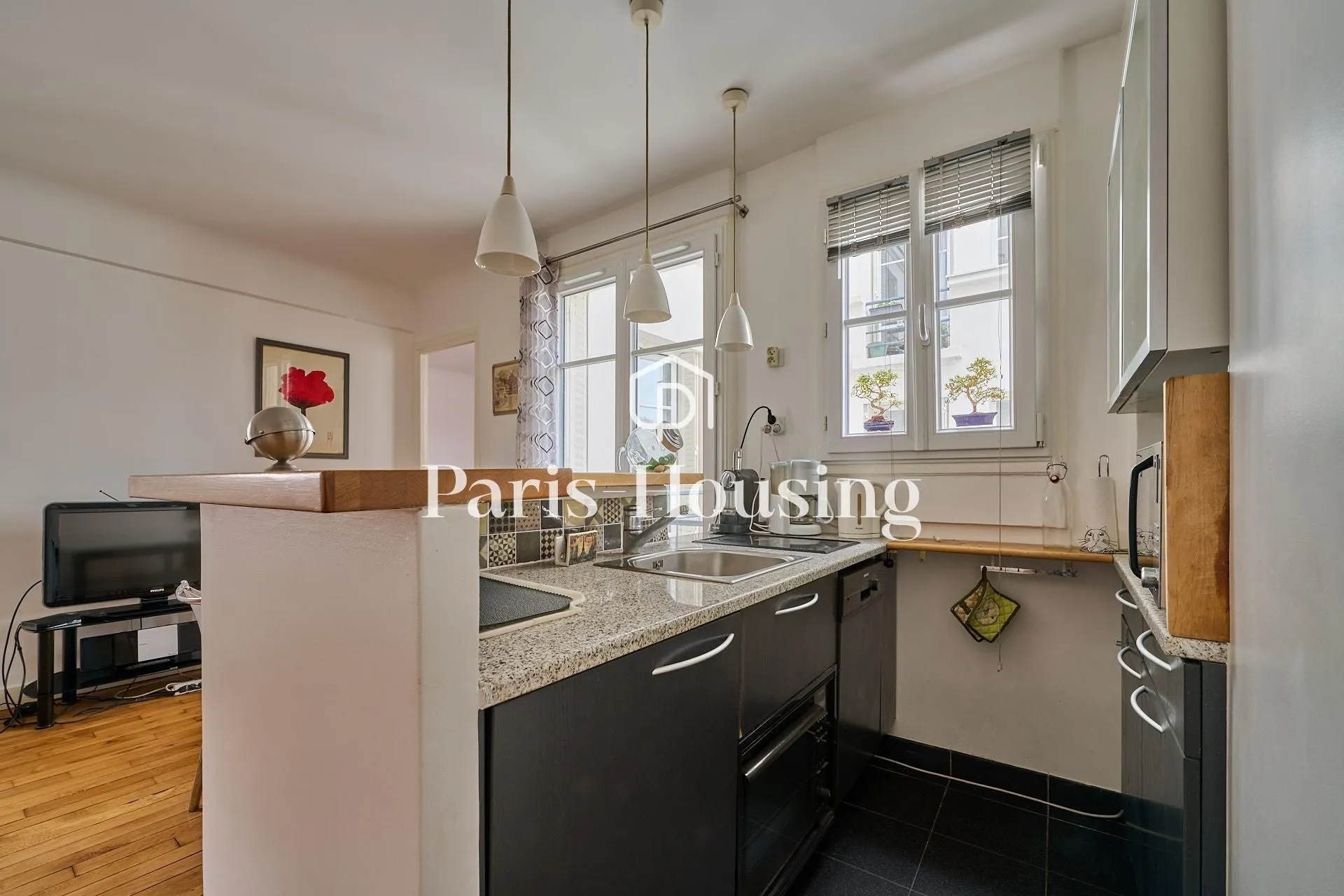 Appartement Rue Rousselet à Paris