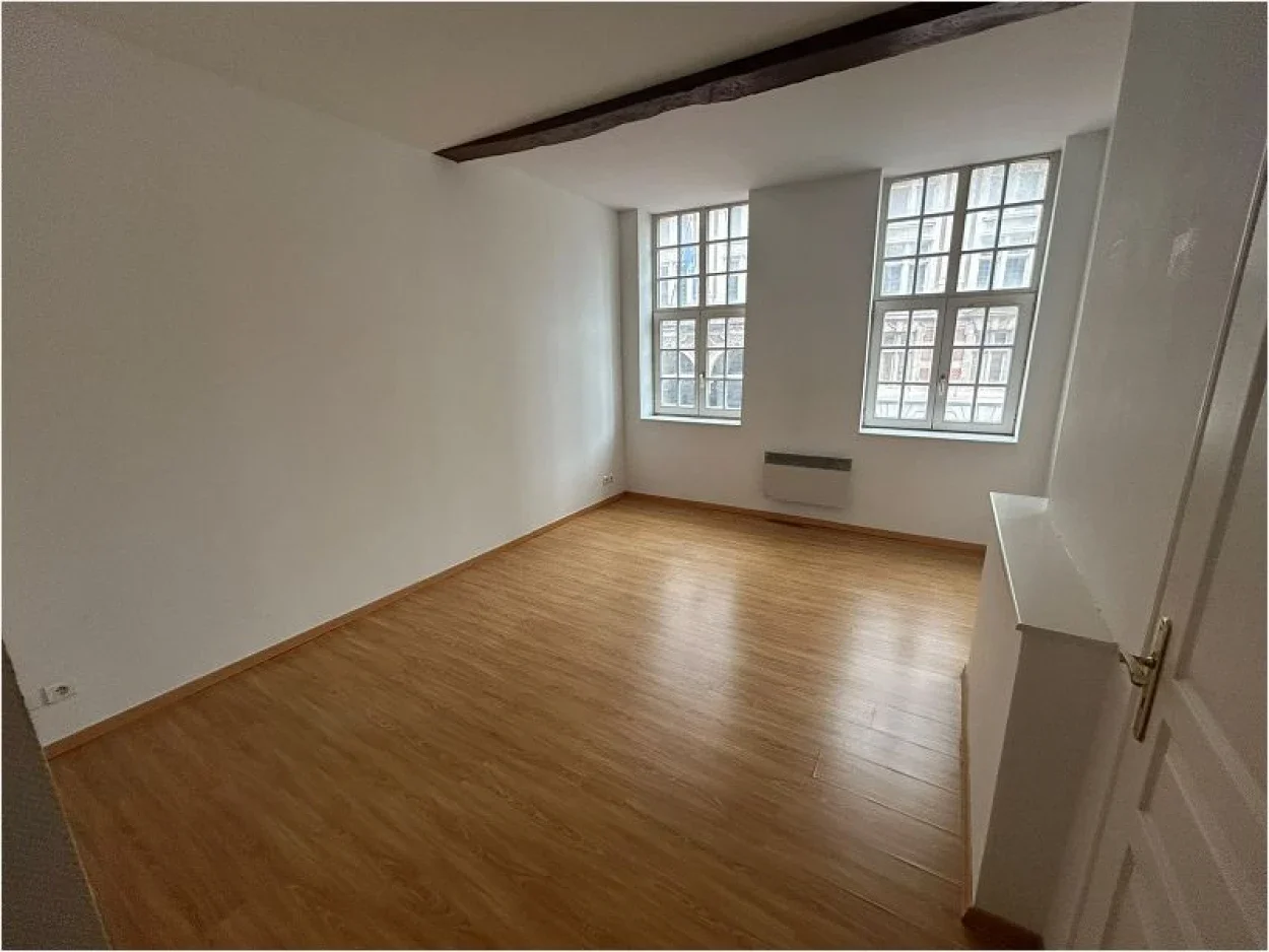 Flat Rue des Trois Couronnes in Lille