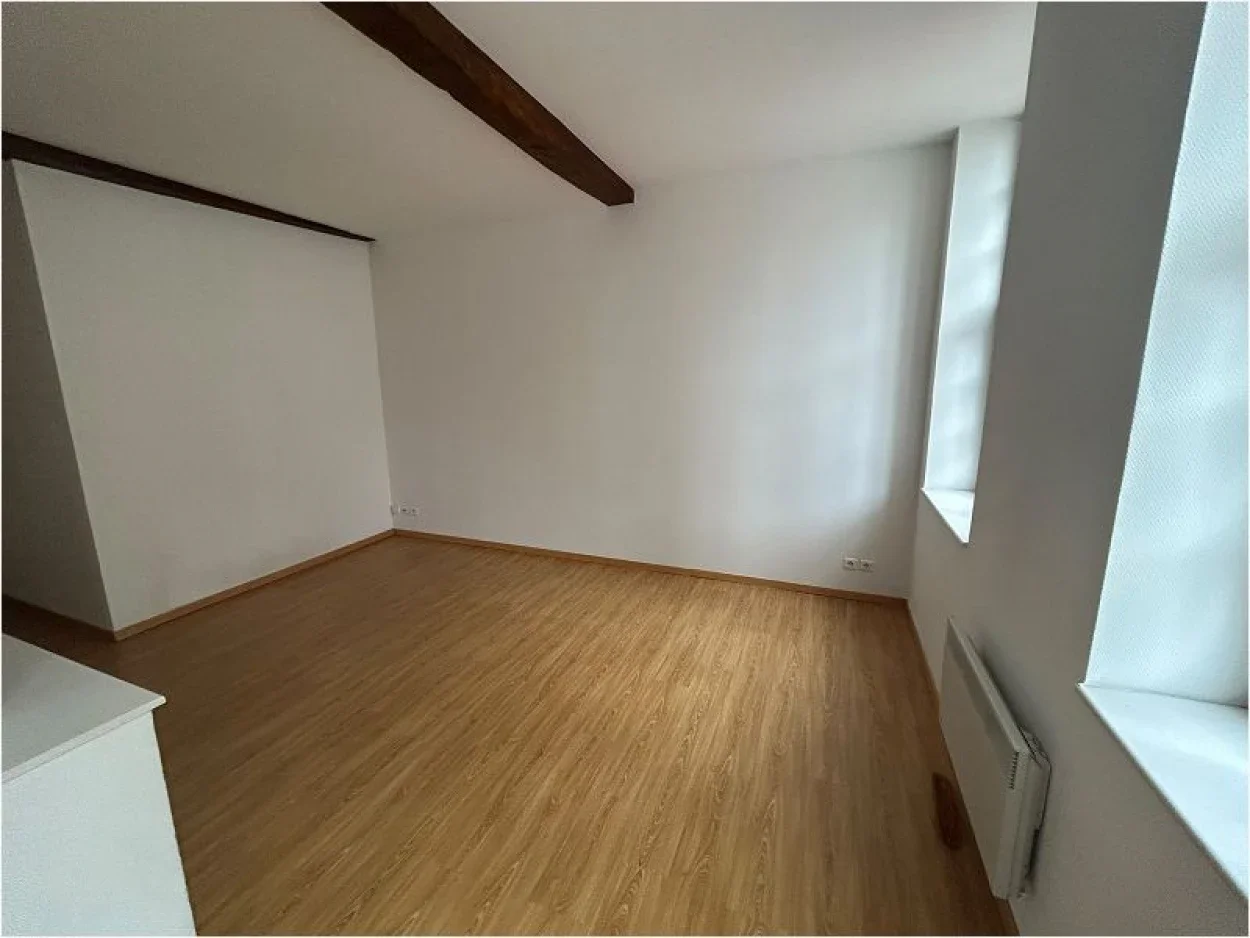 Flat Rue des Trois Couronnes in Lille