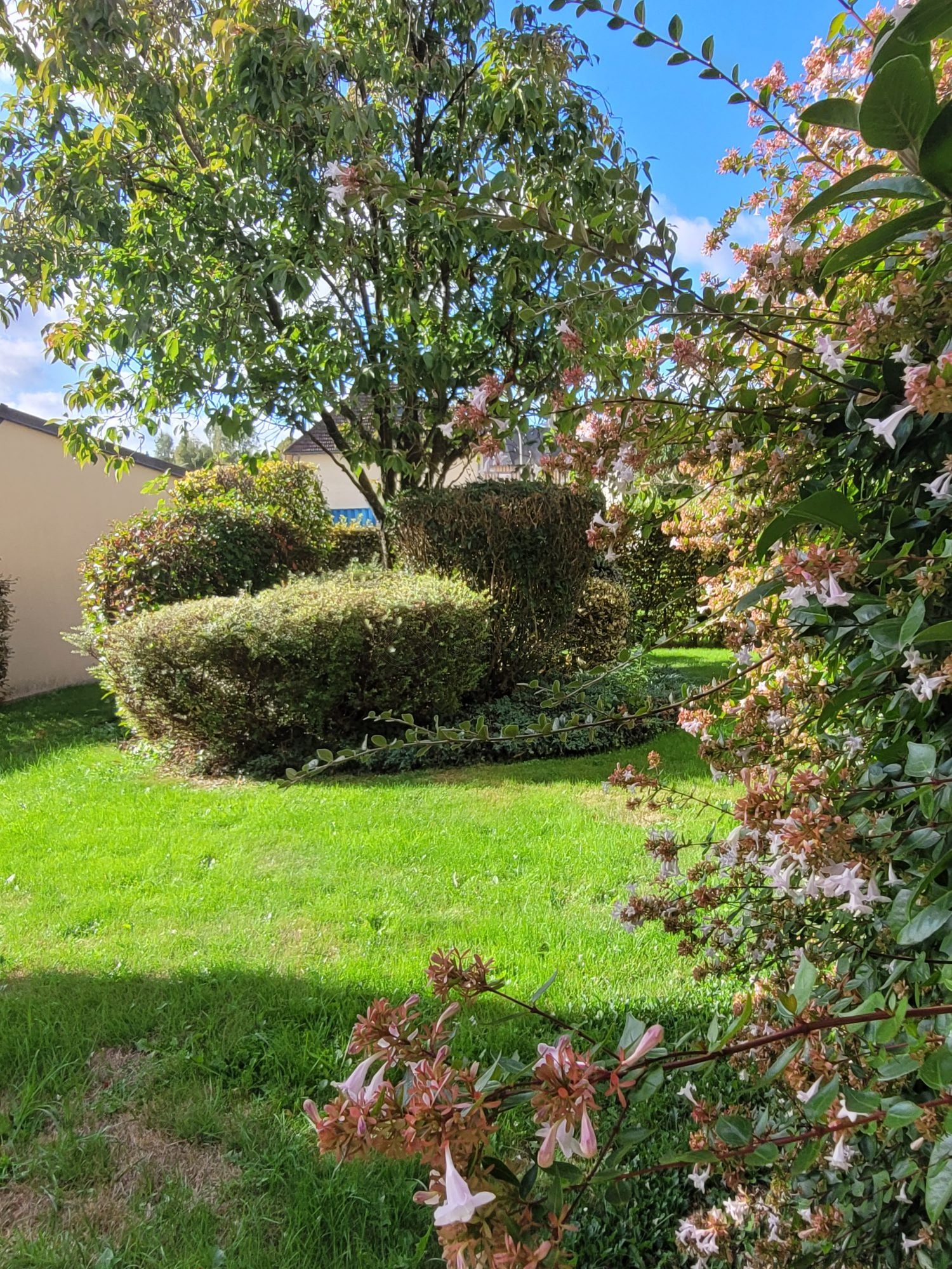 Appartement Rue de l'Étang à Yvetot