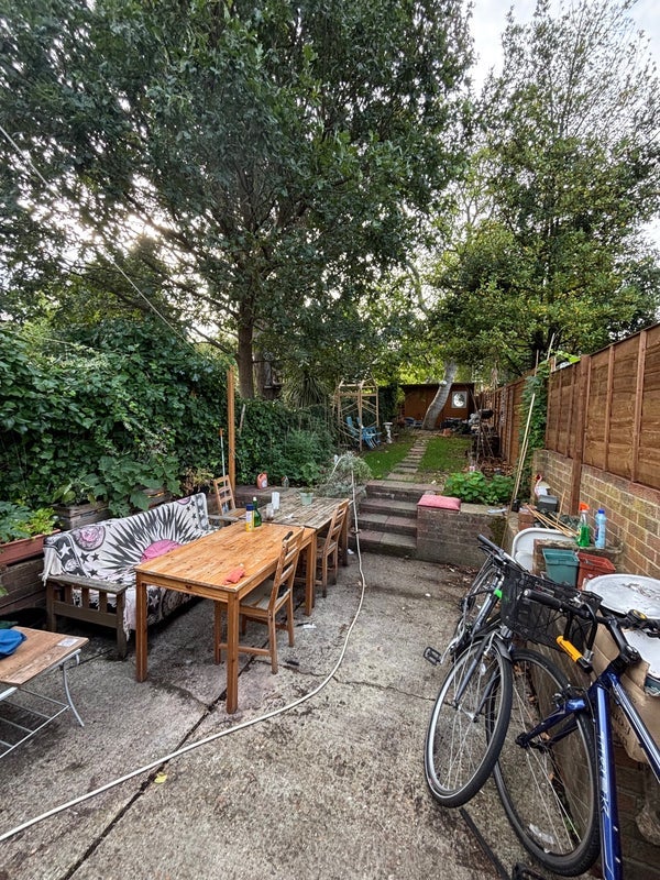 Room Blenheim Grove in Greater London