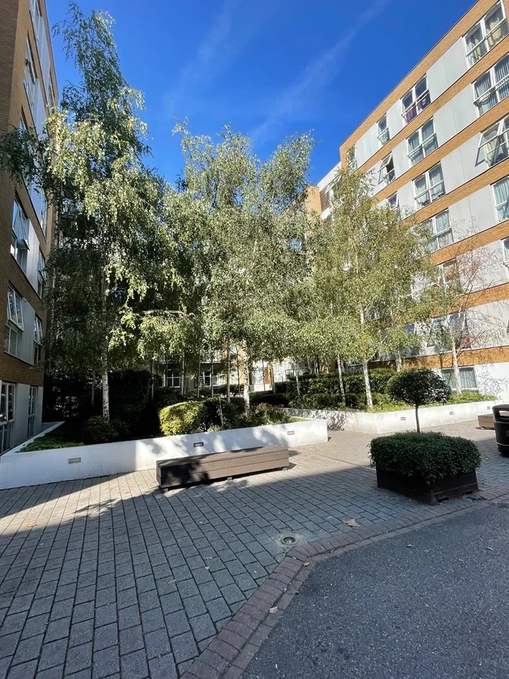 Flat Napier Avenue in Cardross