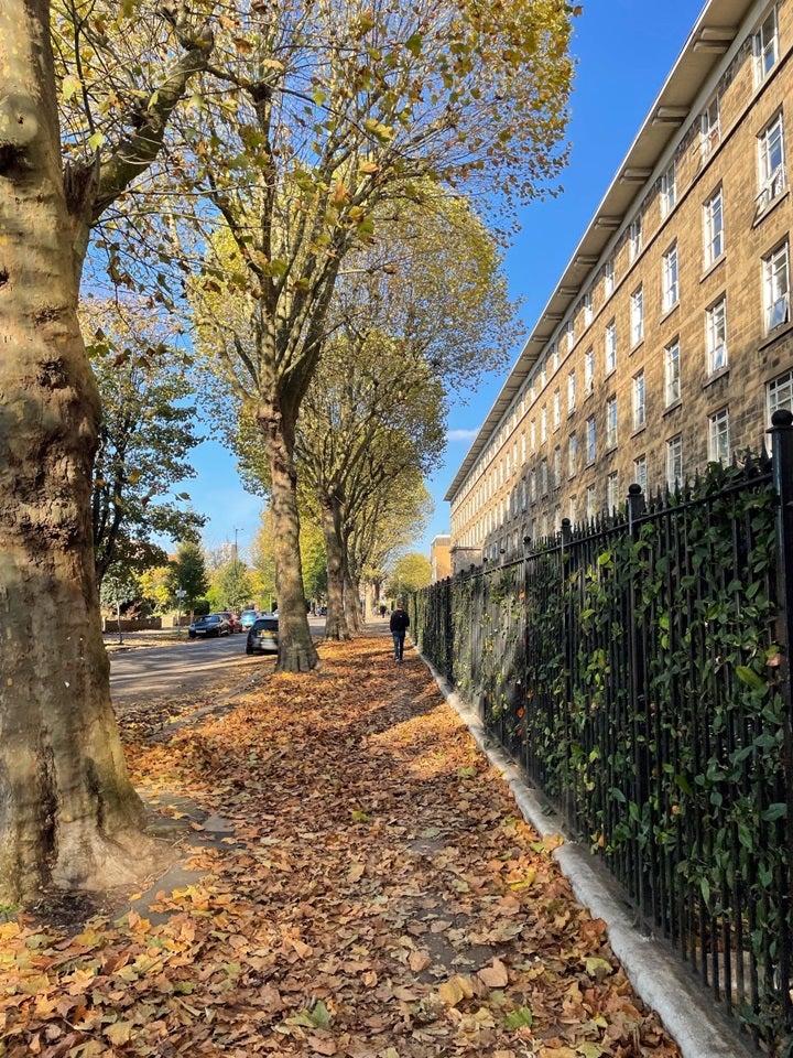 Flat Napier Avenue in Cardross