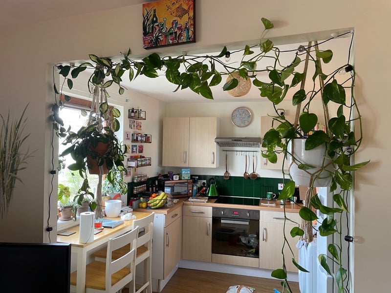Room Slateford Green in City of Edinburgh