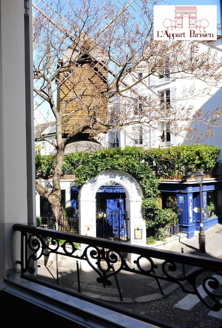 Flat Rue Lepic in Paris