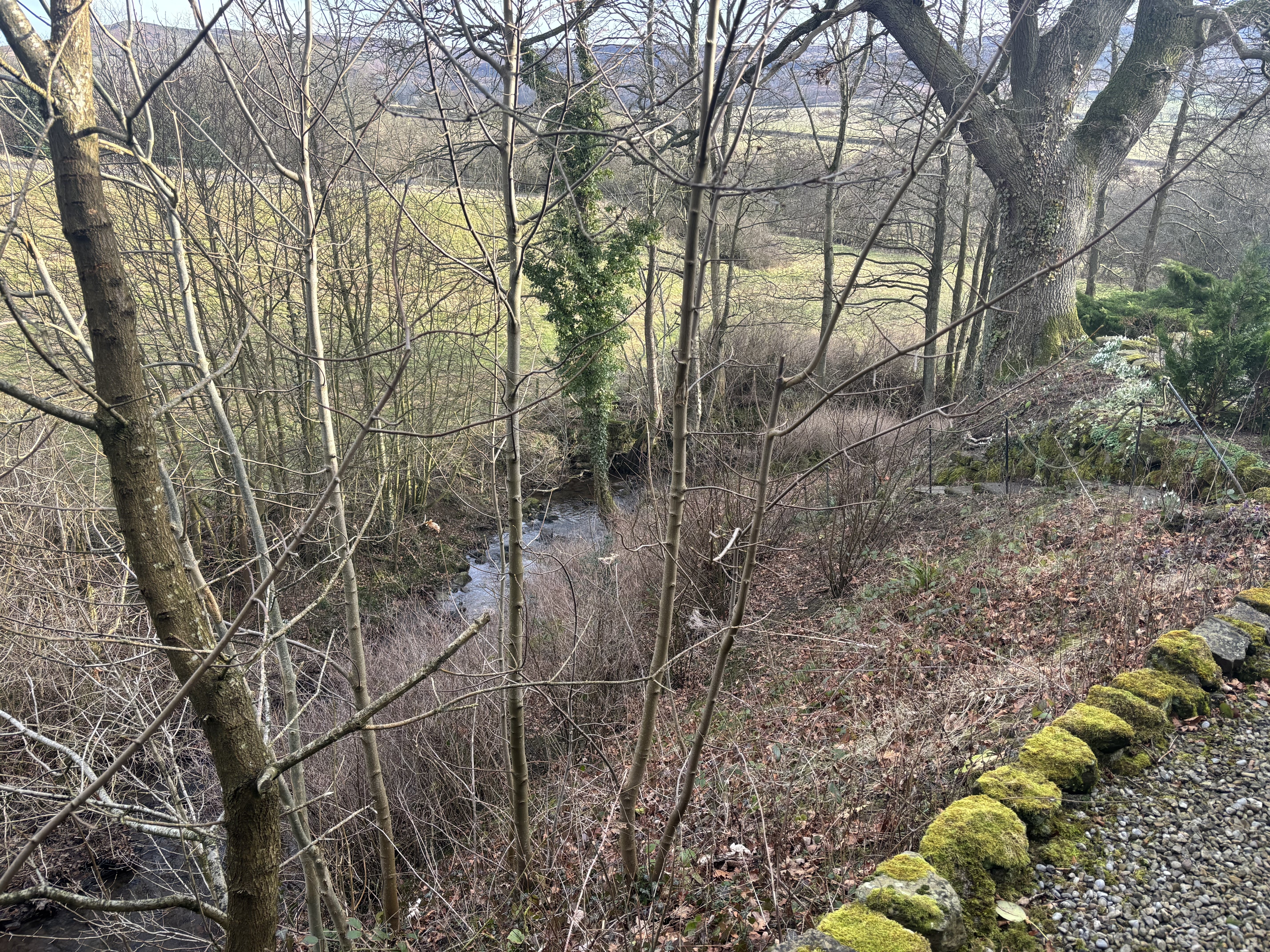 House Waste Lane in Low Mill