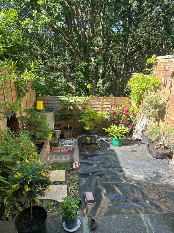 Room Kitley Gardens in Greater London