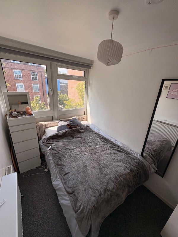 Room Smedley Street in Greater London