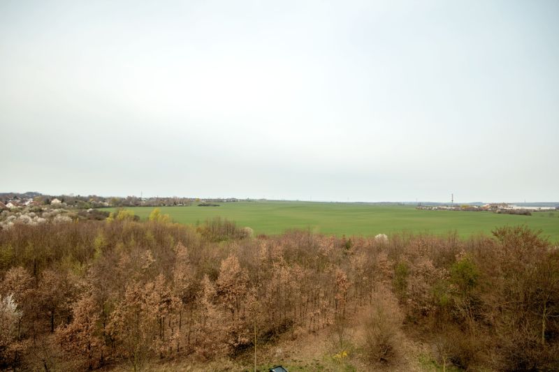 Wohnung Lunzbergring in Halle (Saale)