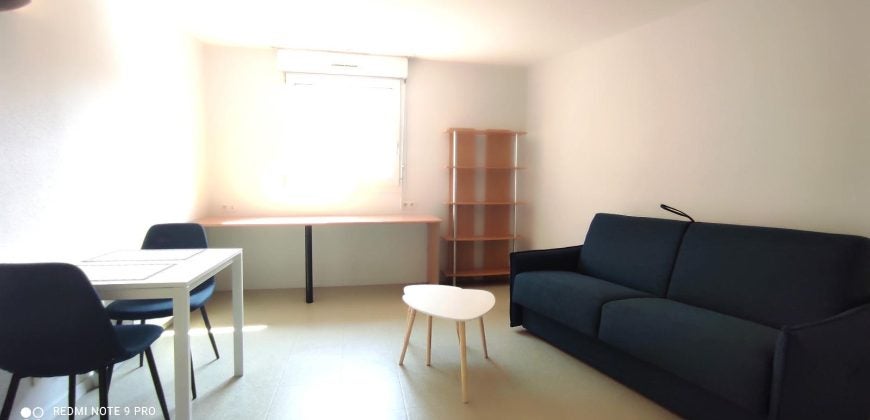 Flat Cours Émile Zola in Villeurbanne