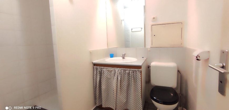 Appartement Cours Émile Zola à Villeurbanne