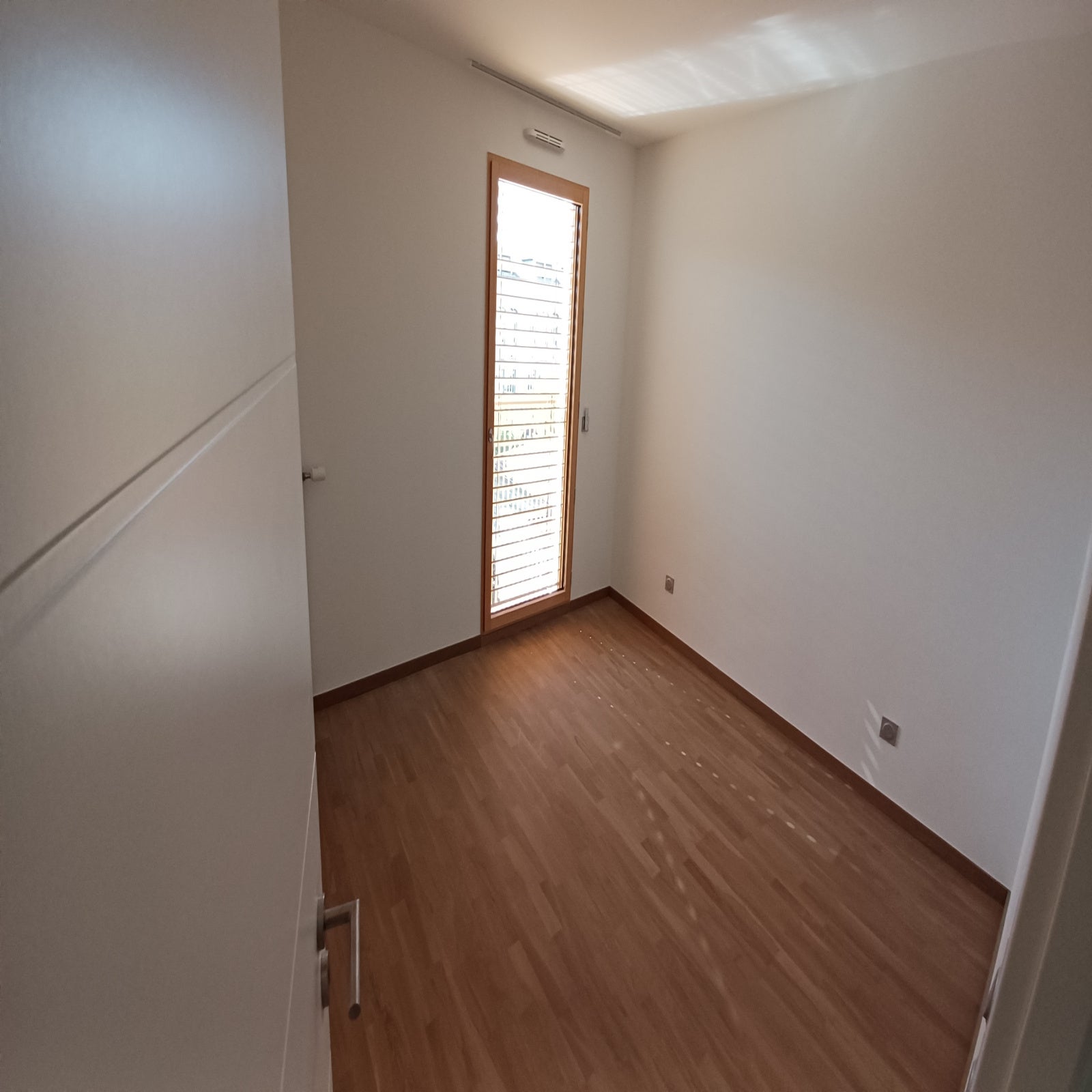 Flat Avenue Félix Faure in Lyon