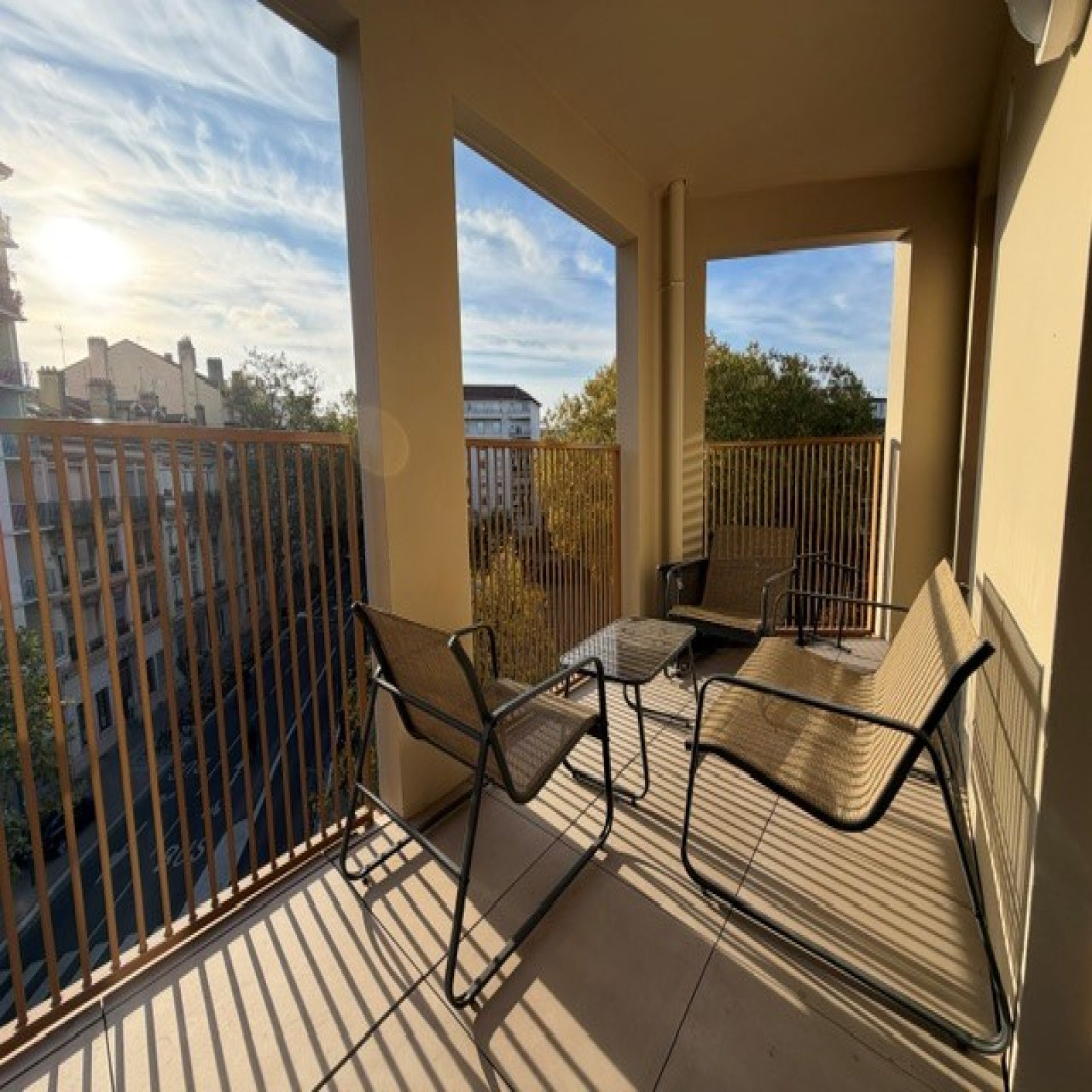 Flat Avenue Félix Faure in Lyon