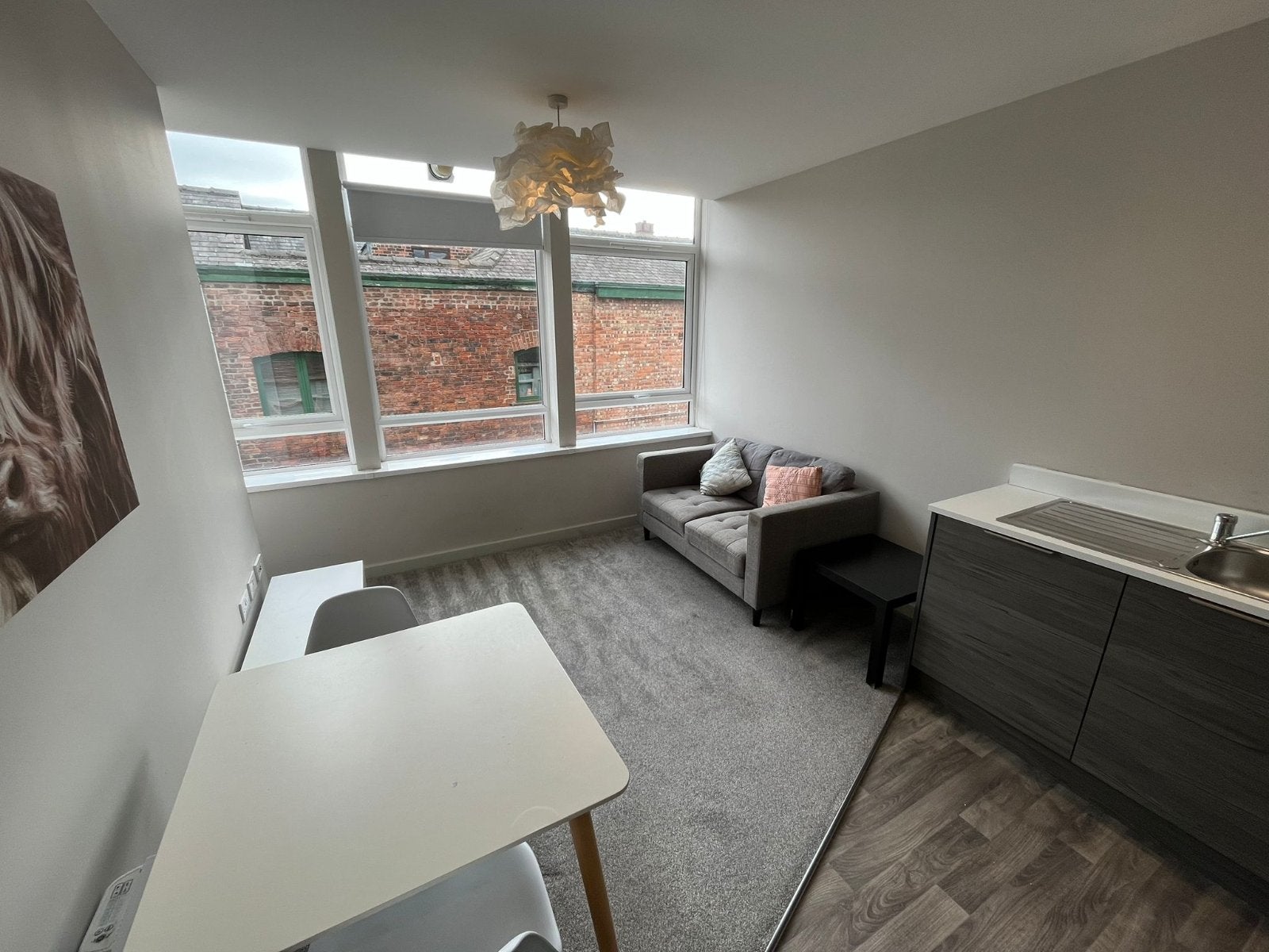 Flat Albion Street in Hull