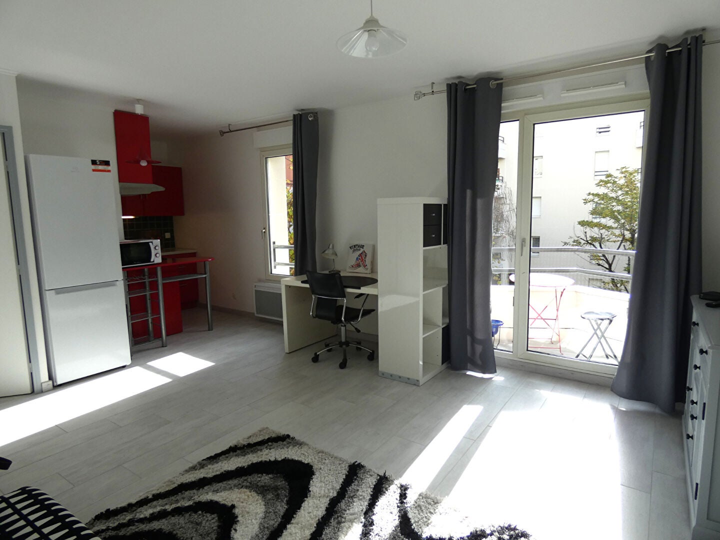 Appartement Rue du Professeur Paul Sisley à Lyon