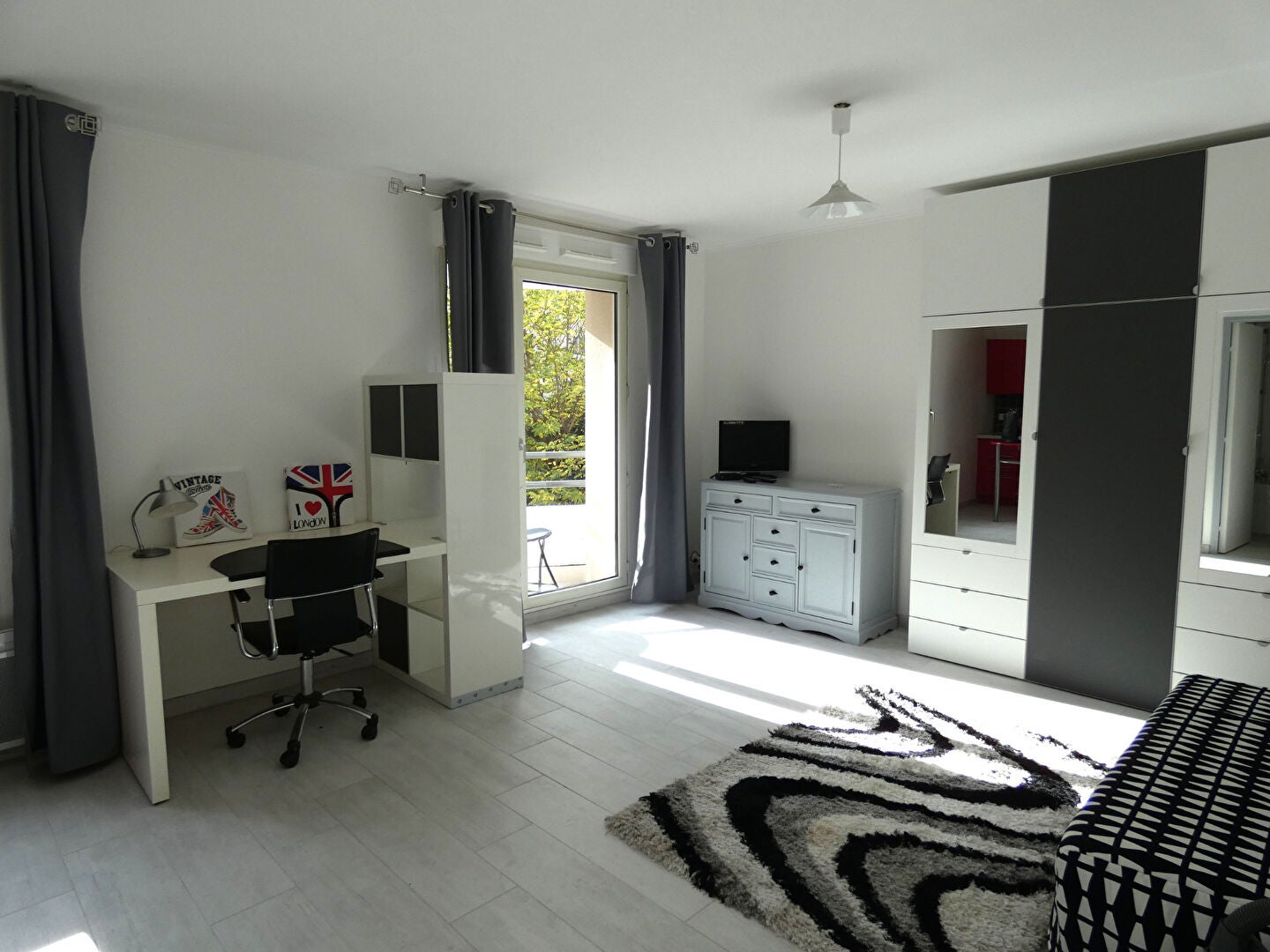 Flat Rue du Professeur Paul Sisley in Lyon
