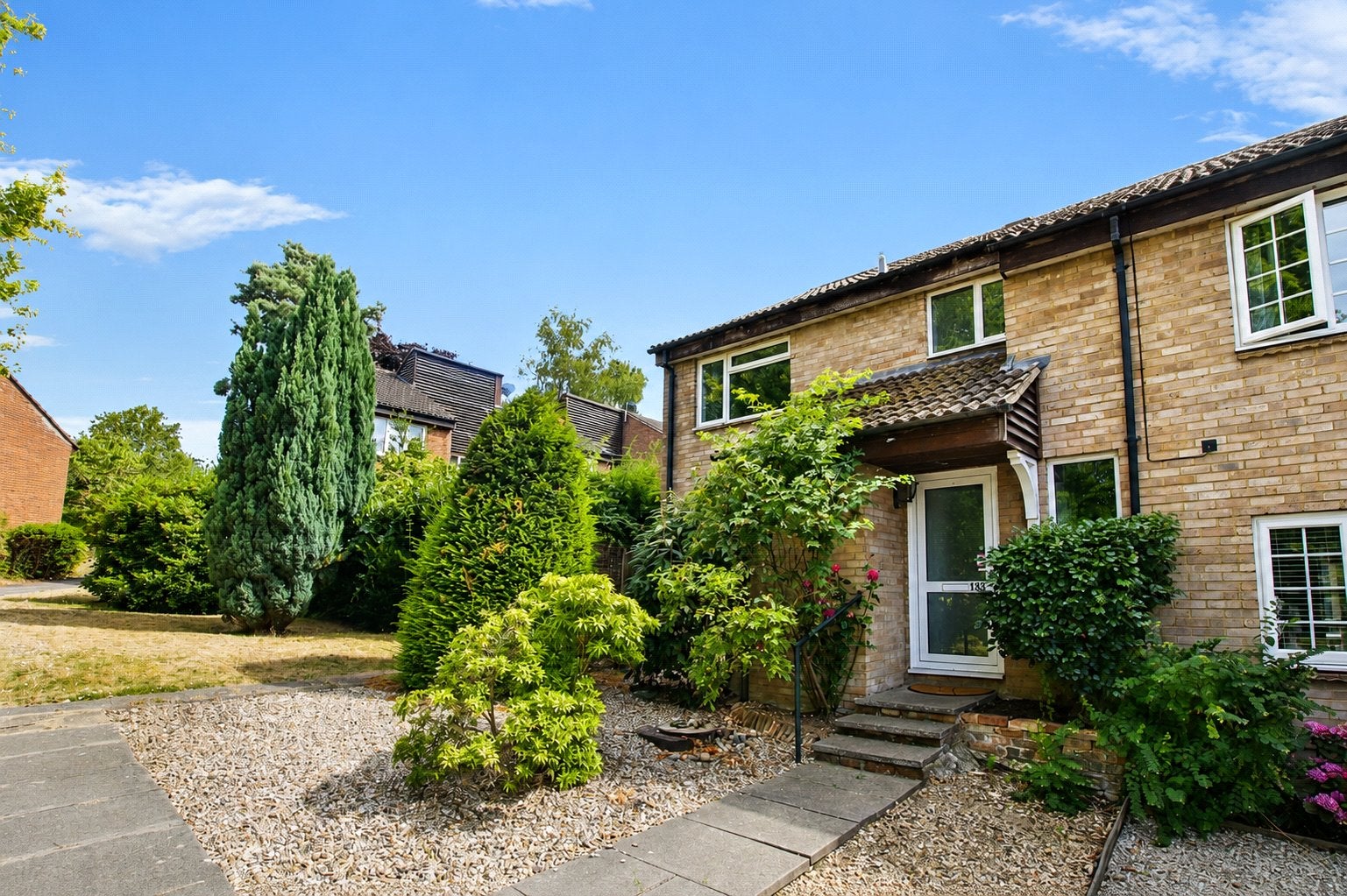 House Juniper in Bracknell