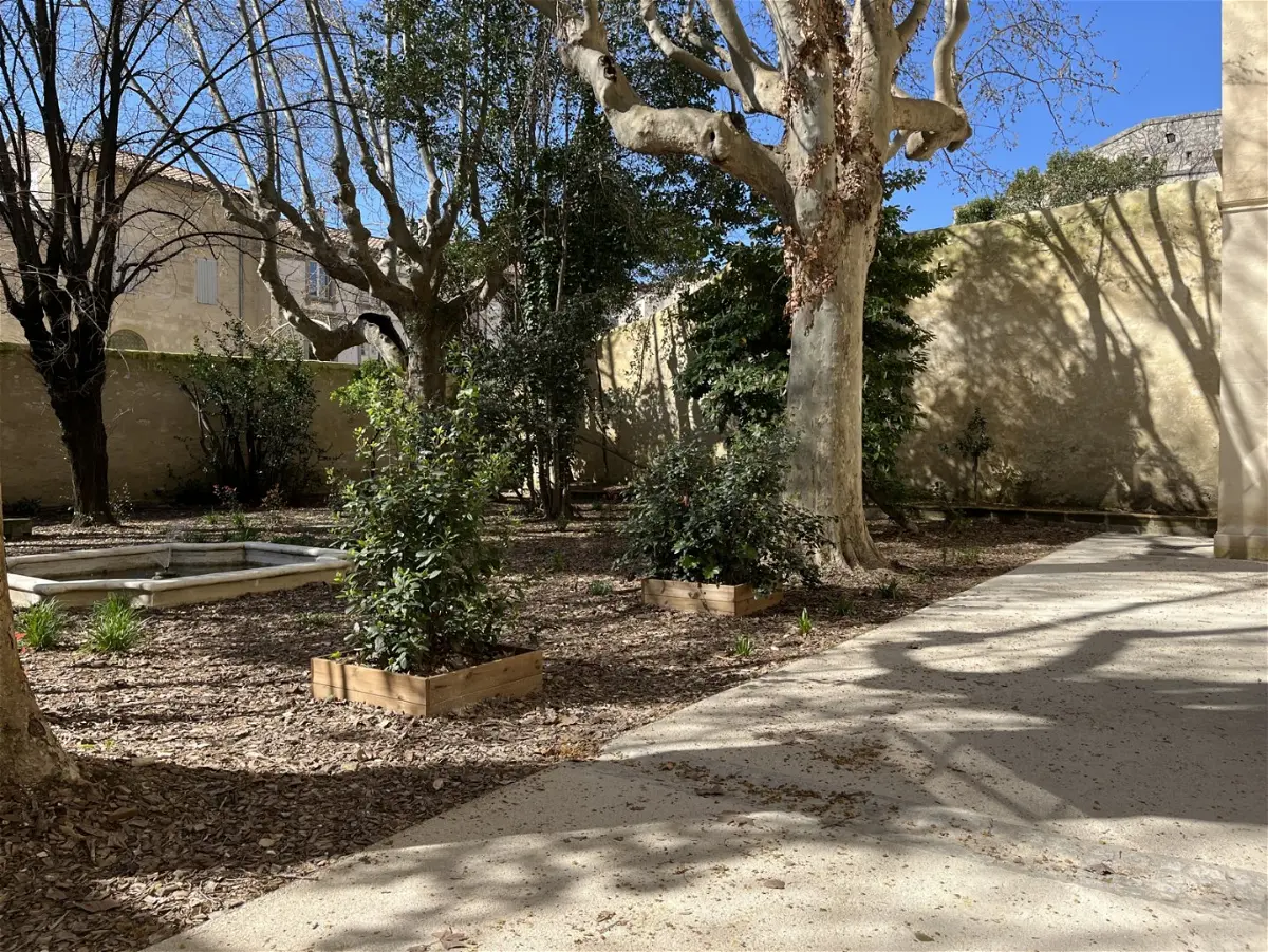 Flat Rue Grivolas in Avignon