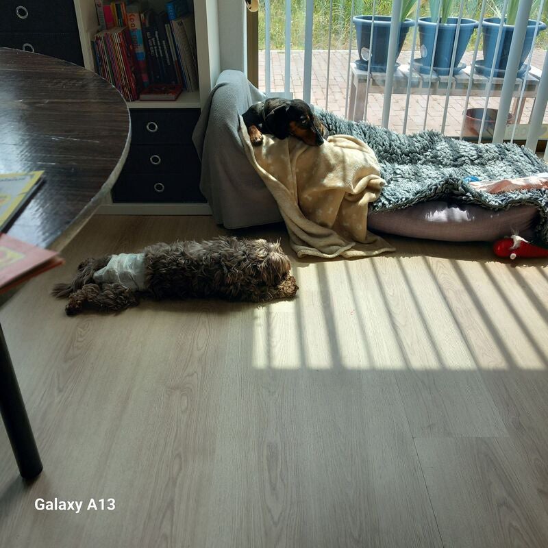 Appartement Vallettapad 10