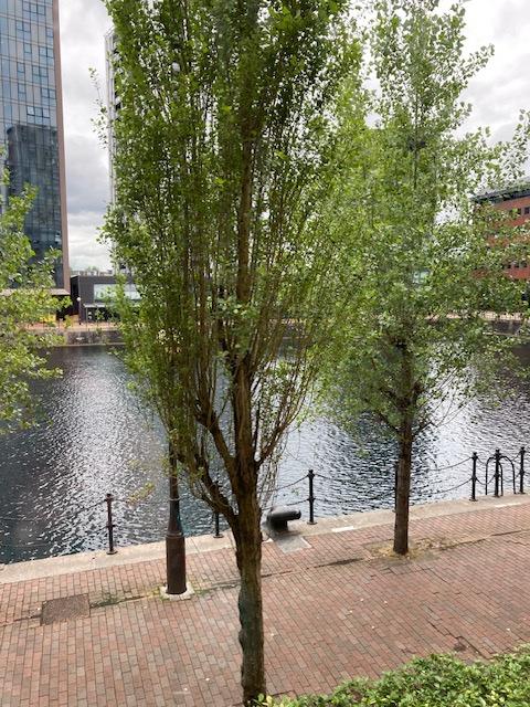 Flat Labrador Quay in Salford