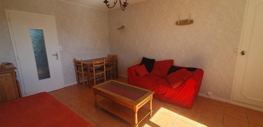 Appartement Cours Emile Zola à Villeurbanne