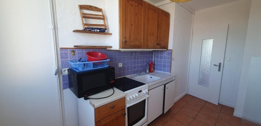 Appartement Cours Emile Zola à Villeurbanne